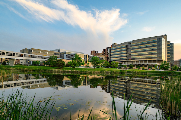 Ronni Hayon, MD Selected for SMPH Dean’s Teaching Award - UW Family ...