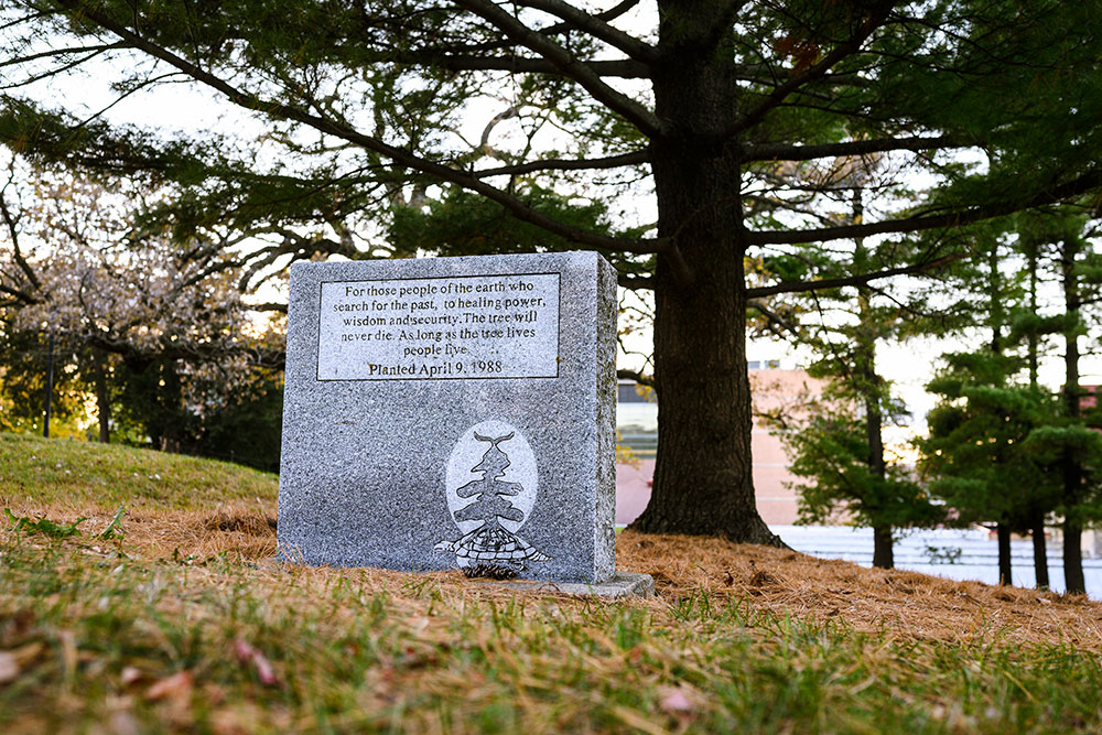 The image portrays a polished gray granite monument set in a grassy area with pine needles scattered across the ground.