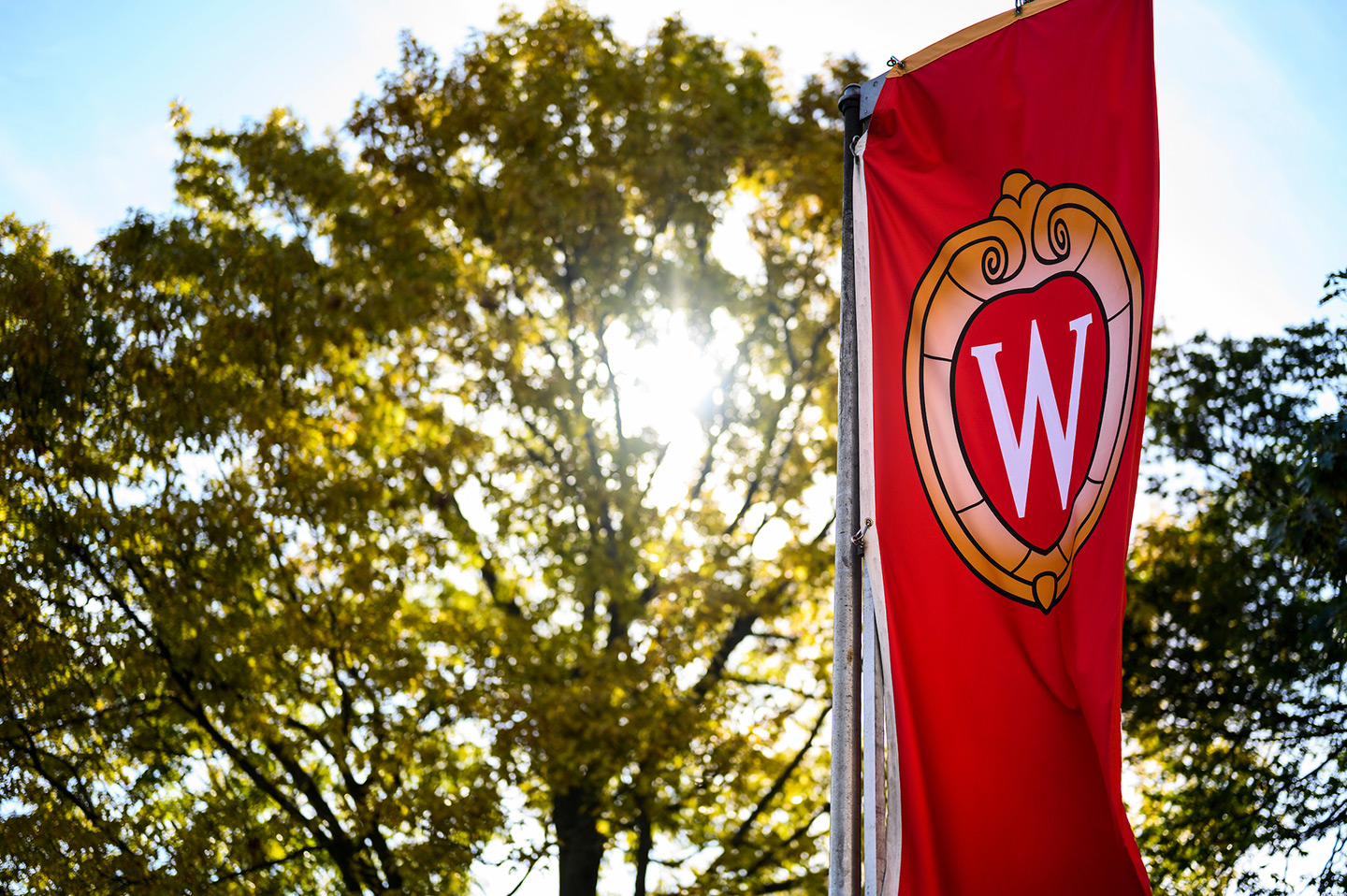 UW Crest on a banner with trees in background.