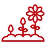 Flowers icon showing growth