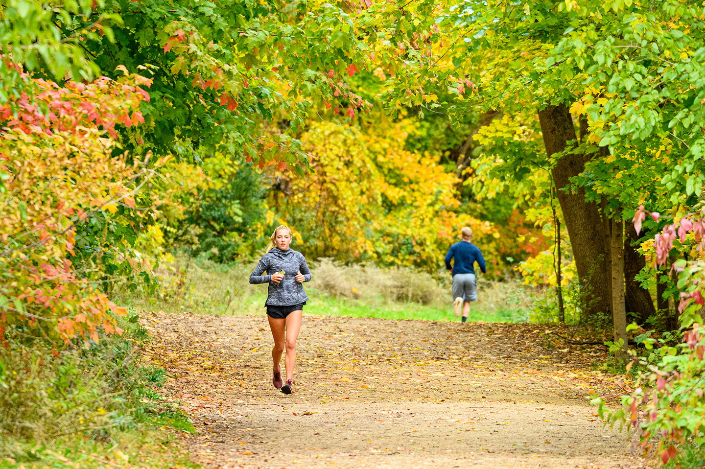 Pedestrians and students walk among the colors of the fall leaves on the Howard Temin Lakeshore Path near Picnic Point at the University of Wisconsin-Madison.
