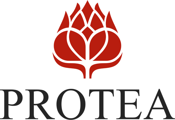 Program for Research, Outreach, Therapeutics, and Education in the Addictions (PROTEA) logo