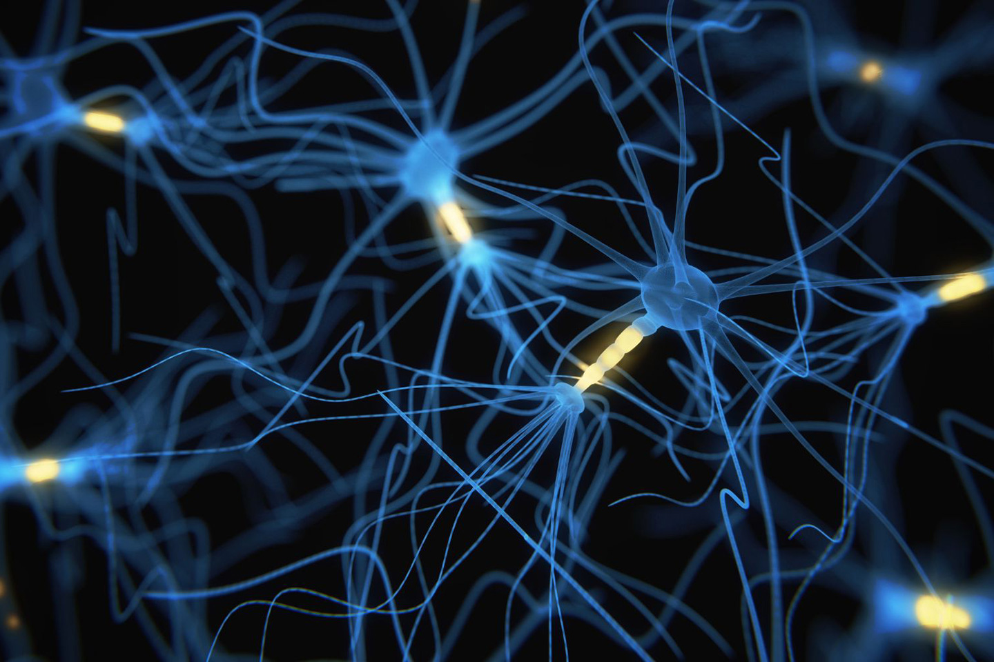 Neuron cells network - 3d rendered image on black background