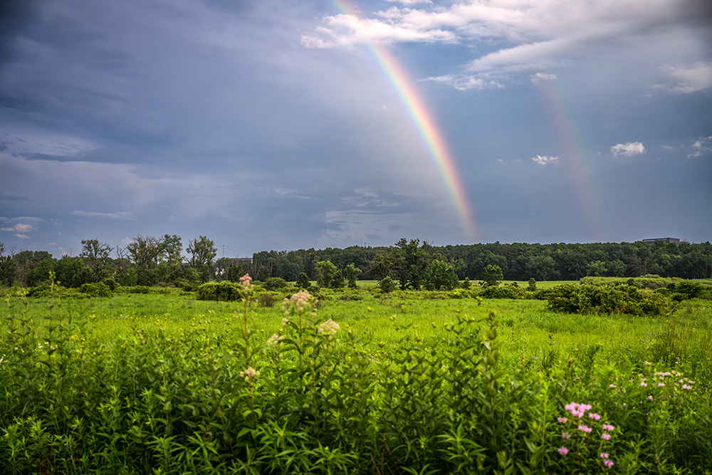 UW Arboretum prairie in late spring with a double rainbow.