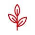 growing plant icon