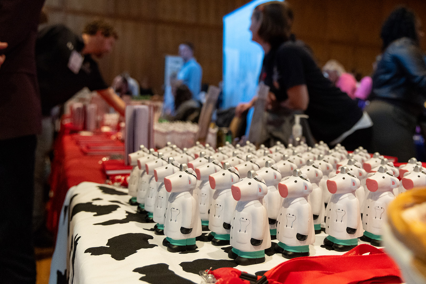 A selection of Dr. Cow squeeze toys are lined up on a table at a residency fair.